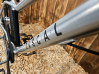 Rascal Bikes Fahrrad 24 Zoll Belt Drive 7-Gang